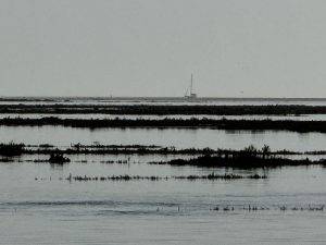 Vor den Dühnen fährt eine Yacht über den Atlantik