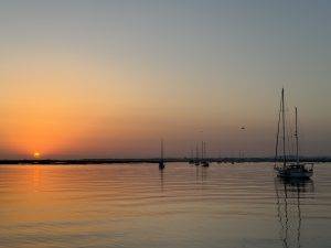 IMG_6597 Sunset Alert