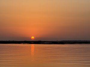 IMG_6598 Hach…