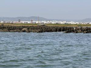 Austernzucht vorm Flughafen