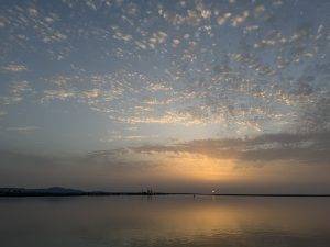IMG_6639 Guten Morgen
