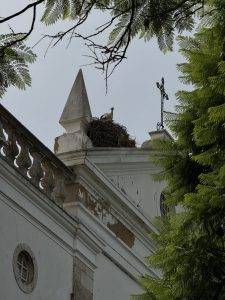 Storch statt Kirchglocke