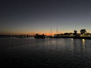 IMG_6687