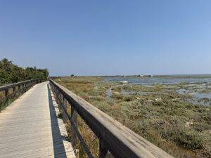 Bohlenweg durch den Ria Formosa