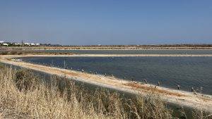 IMG_6707 Blick nach Fuseta