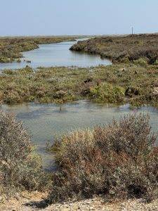 IMG_6708 Wasserarm