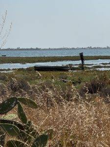 Blick zur Ilha Armona