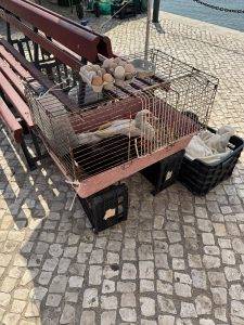 Direktproduktion und -vermarktung