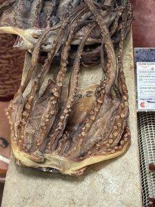 Getrockneter Pulpo