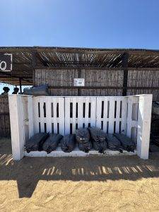 Salz - 25kg für 8 Euro