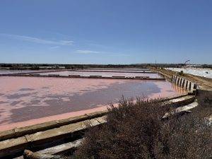 Das Wasser durchläuft mehrere Becken
