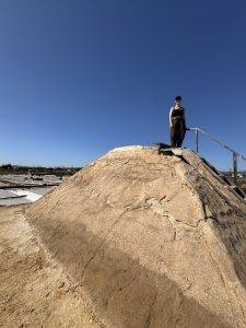 Svea auf dem Salzberg