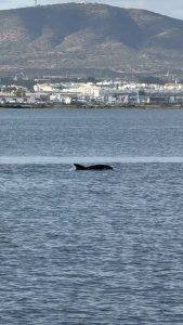 Immer wieder schön!