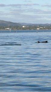 Gemächlich geht es durch die Lagune