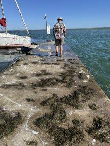 Überspülter und verdreckter Außensteg