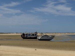 IMG_6963 Strandlieger