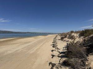 IMG_6965 Einsamer Strand