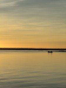 IMG_7026