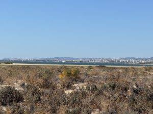 IMG_7044 Faro am Horizont