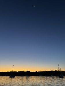IMG_7129 Guten Morgen