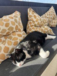 Noch nicht ausgeschlafen