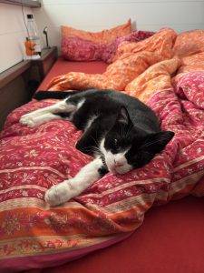 Sonntags bleib ich länger in der Koje