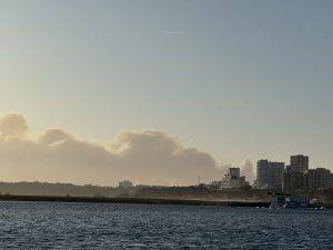 Bischfeuer in 40 km Entfernung