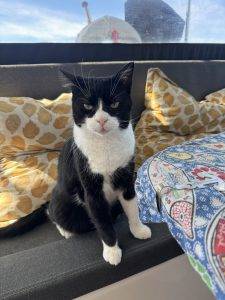 Was meinst Du mit Müsli zum Ffrühstück?!