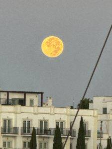 Guten Morgen Vollmond