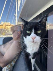 Lucky freut sich wieder in Vilamoura zu sein