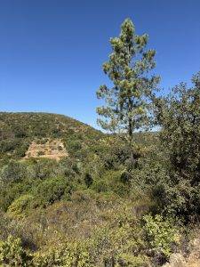 Hügeliges Hinterland