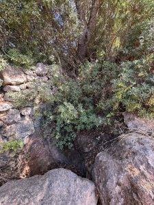 Altes Bewässerungssystem