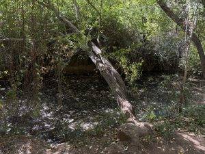 Ein wenig verwunschen