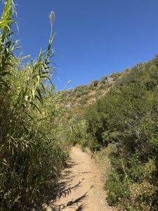 Man könnte noch weiter…