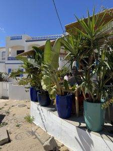 Farblich passt der Vergleich mit Santorini