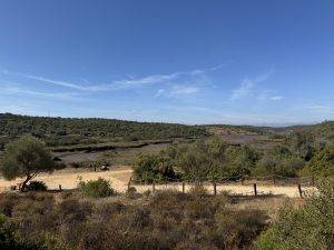 Ausflug zur Sitio das Fontes