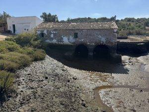 Falsches Timing - es ist Ebbe