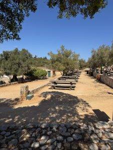 Schöner Picknickplatz