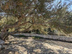 Badeplatz - leider ohne Wasser