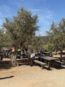 Nächstes Mal bringen wir den Picknickkorb mit