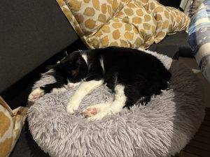 Endlich wieder im Fluff