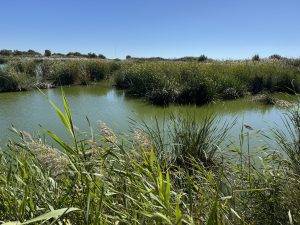 Kleine Seenlandschaft