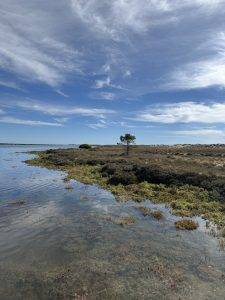 Ria Formosa bei Hochwasser