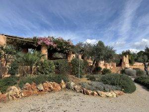 Ausflug zu Monterosa Olivenöl