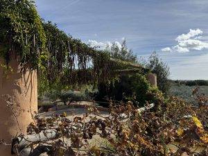 Es gibt schlechtere Plätze