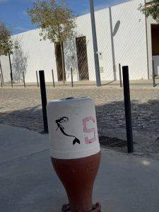 Meerjungfrau gefunden