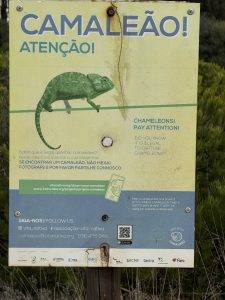 Wieder erfolglos gesucht