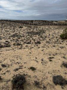Dünenlandschaft am Praia Garrâo