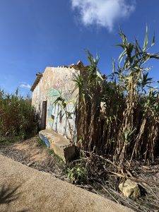 Traumhaus gefunden?!