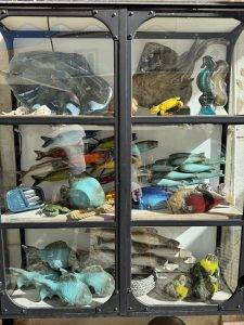 Hier würden wir auch fündig